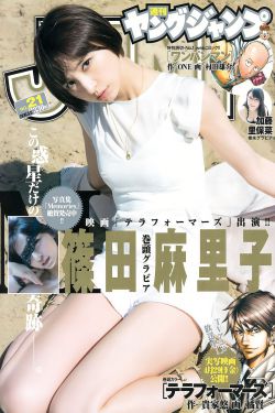 铁血玫瑰 电视剧